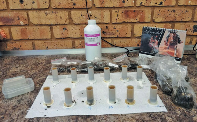 Controlling worms in horses Controlling worms in horses
