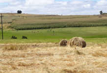 Extension of comments on land expropriation welcomed