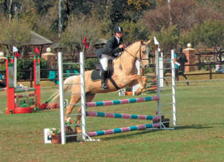 How stride length influences your horse’s jump