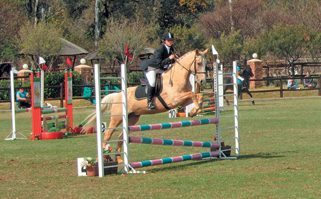 How stride length influences your horse’s jump How stride length influences your horse’s jump