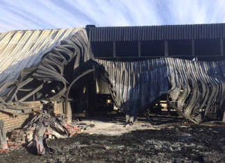 Arson suspected in citrus pack-house fire