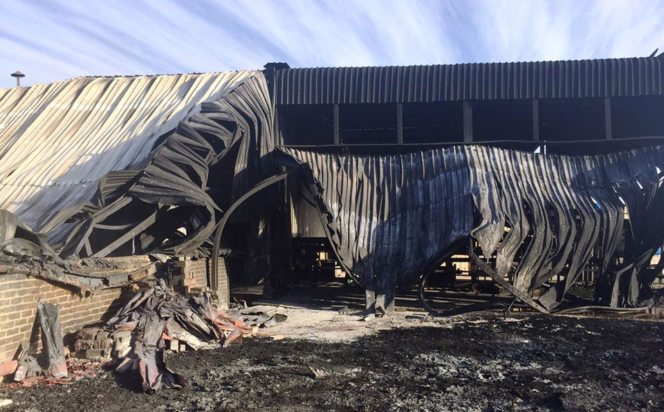 Arson suspected in citrus pack-house fire