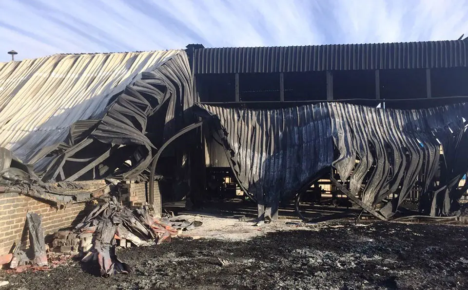 Arson suspected in citrus pack-house fire
