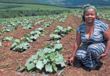 ‘Soil Sista’ profits from the informal vegetable market