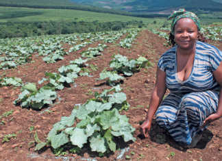 ‘Soil Sista’ profits from the informal vegetable market