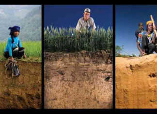 Call for participants in soil health indicator project
