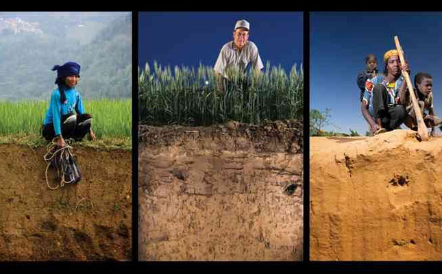 Call for participants in soil health indicator project Call for participants in soil health indicator project