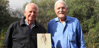 New book aims to improve vine root management