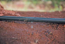 The main types of irrigation Drip irrigation