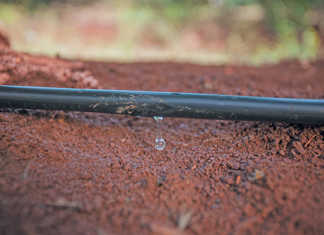 Drip irrigation