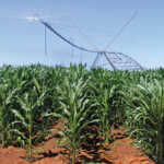 Decrease in agricultural output hits national GDP