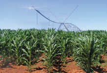 Decrease in agricultural output hits national GDP