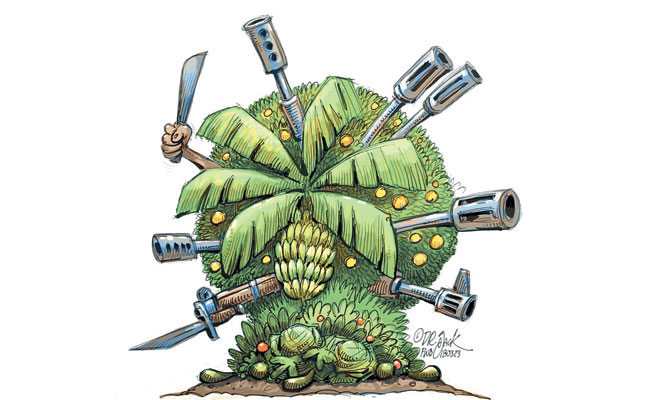 Why plenty of food means plenty of conflict Why plenty of food means plenty of conflict