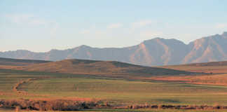 Land reform should go back to the drawing board – PLAAS