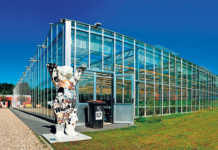 Innovative, sustainable aquaponics production in Berlin