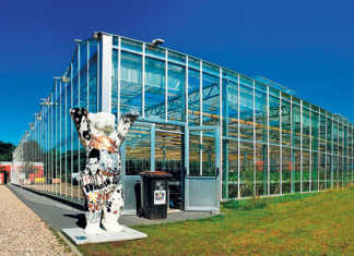 Innovative, sustainable aquaponics production in Berlin
