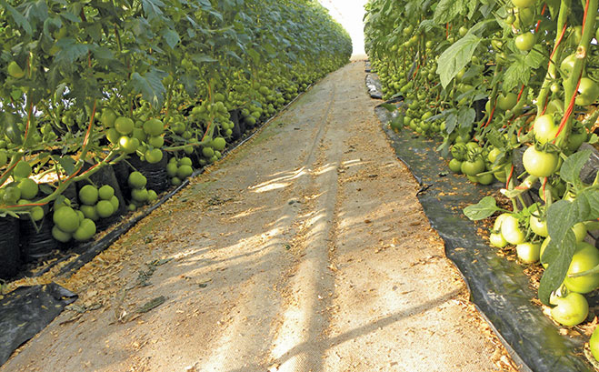 Agricultural development’s education gap Agricultural development’s education gap