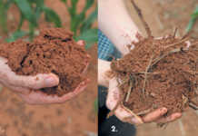 Pursuing soil health precisely