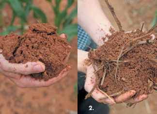 Pursuing soil health precisely