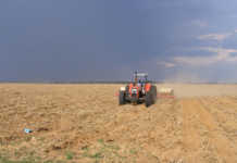 Knock-on effect of record diesel price on grain value chain Knock-on effect of record diesel price on grain value chain