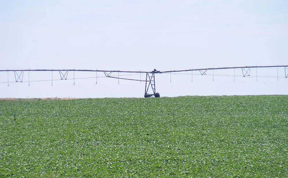 Groundwater conservation: a long-term investment