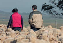 Govt to hold ‘landmark’ census of SA commercial agriculture