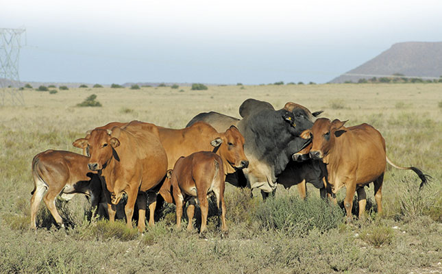 Make more money with your livestock Make more money with your livestock