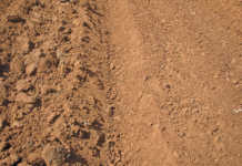 Preparing to plant carrots: seeds and soil