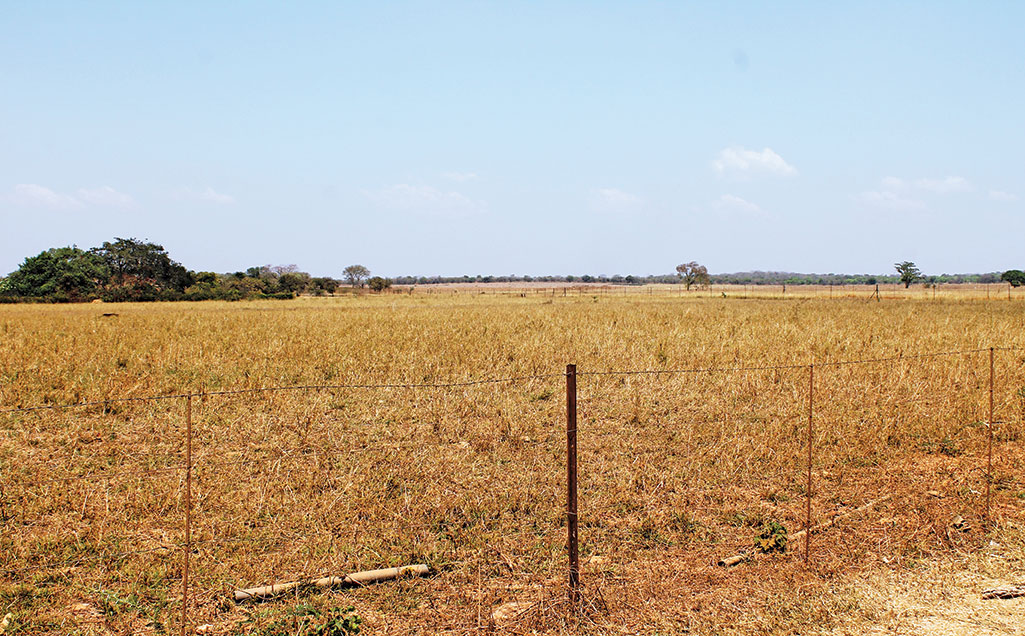 Attracting investors to Africa