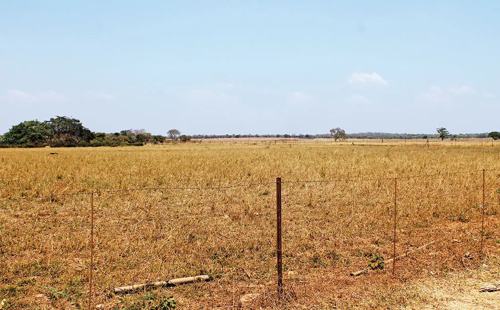 Attracting investors to Africa