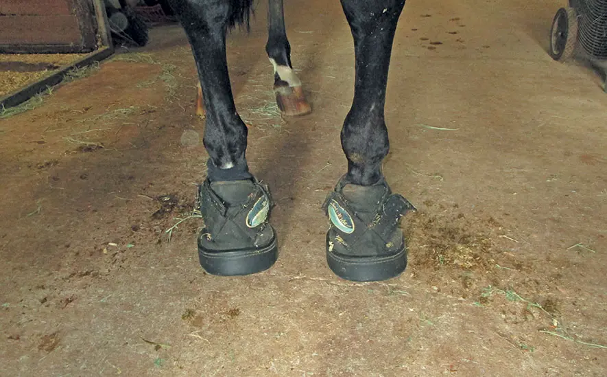 Soft-Ride boots