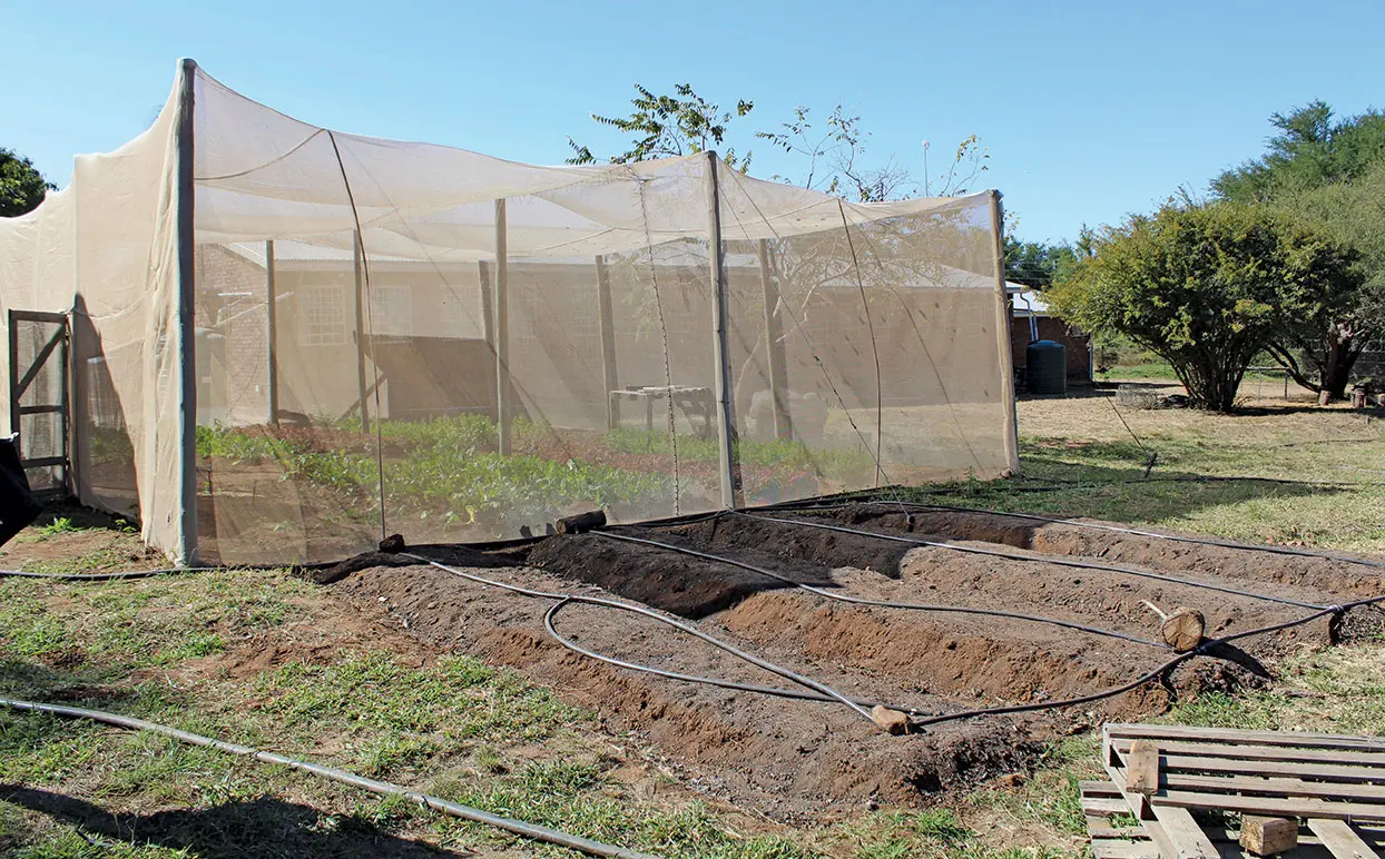The Hoedspruit Hub demonstration garden