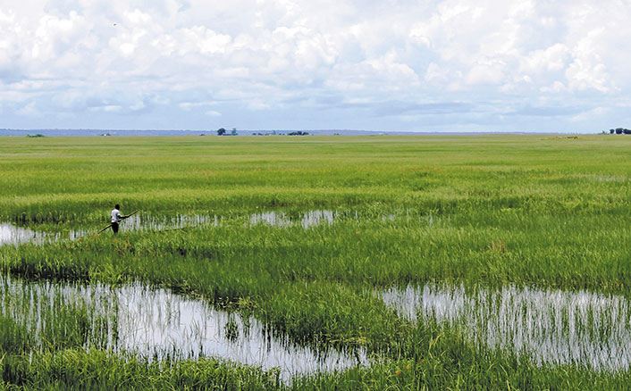 Zambia: independent maize miller a lifeline for smallholders Zambia: independent maize miller a lifeline for smallholders