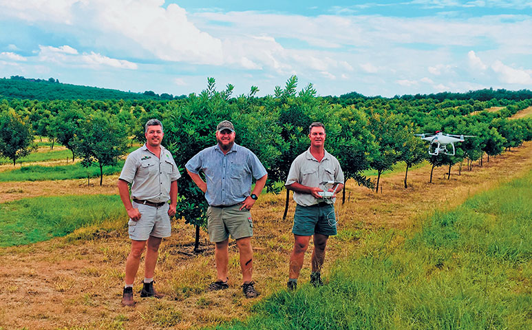 Drone technology: a step towards zero defect orchard management