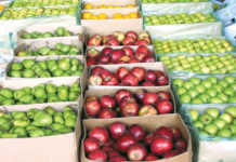 Good marketing knowledge key to fresh produce profits