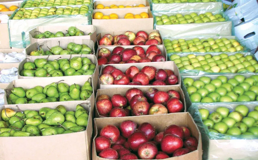 Good marketing knowledge key to fresh produce profits