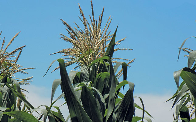 How do we attract women to agriculture? How do we attract women to agriculture?