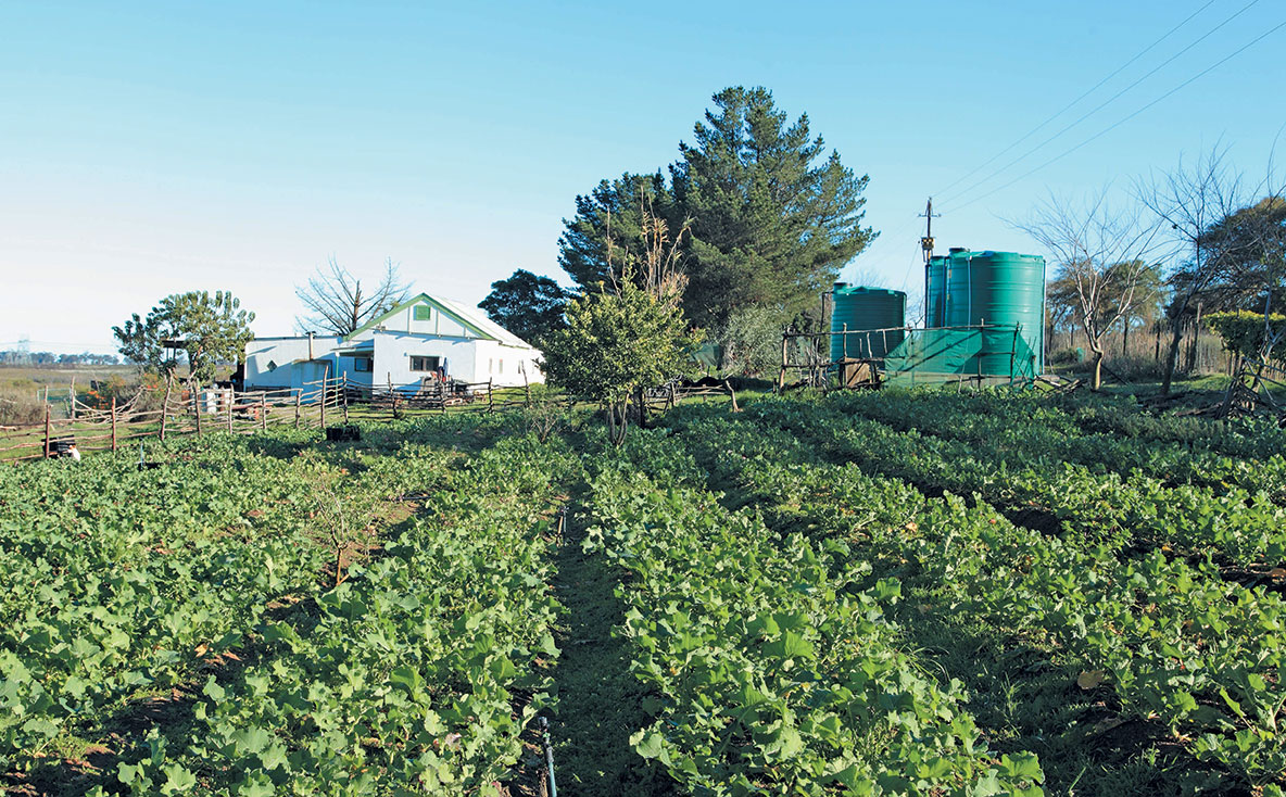 Competition winners urged to support communities