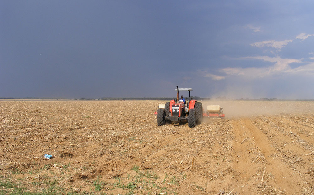 ‘Grain farmers, beware of using harmful chemicals!’