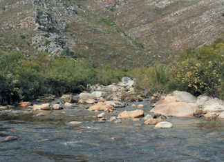 Berg River Catchment