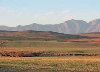 Agri interventions key to Ramaphosa’s economic stimulus package