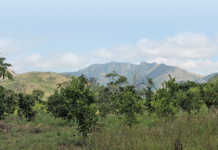 Zokwana urges smallholder farmers to register on new database