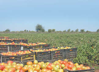 Fund farmers, not food