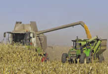 ‘Diesel now second highest input cost’ – Grain SA