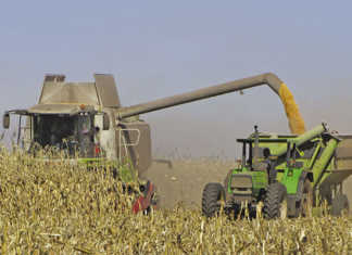 ‘Diesel now second highest input cost’ – Grain SA ‘Diesel now second highest input cost’ – Grain SA