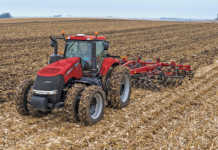 Maize cultural practices