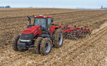 Maize cultural practices