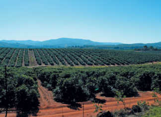 Government must learn from farmers like ZZ2 – Mboweni