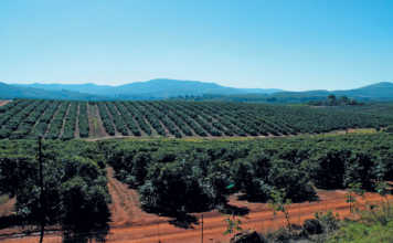 Government must learn from farmers like ZZ2 – Mboweni