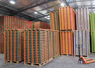 Koeltehof packs avocados for several companies